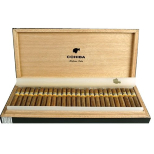 Humidor 50 Cohiba Shorts